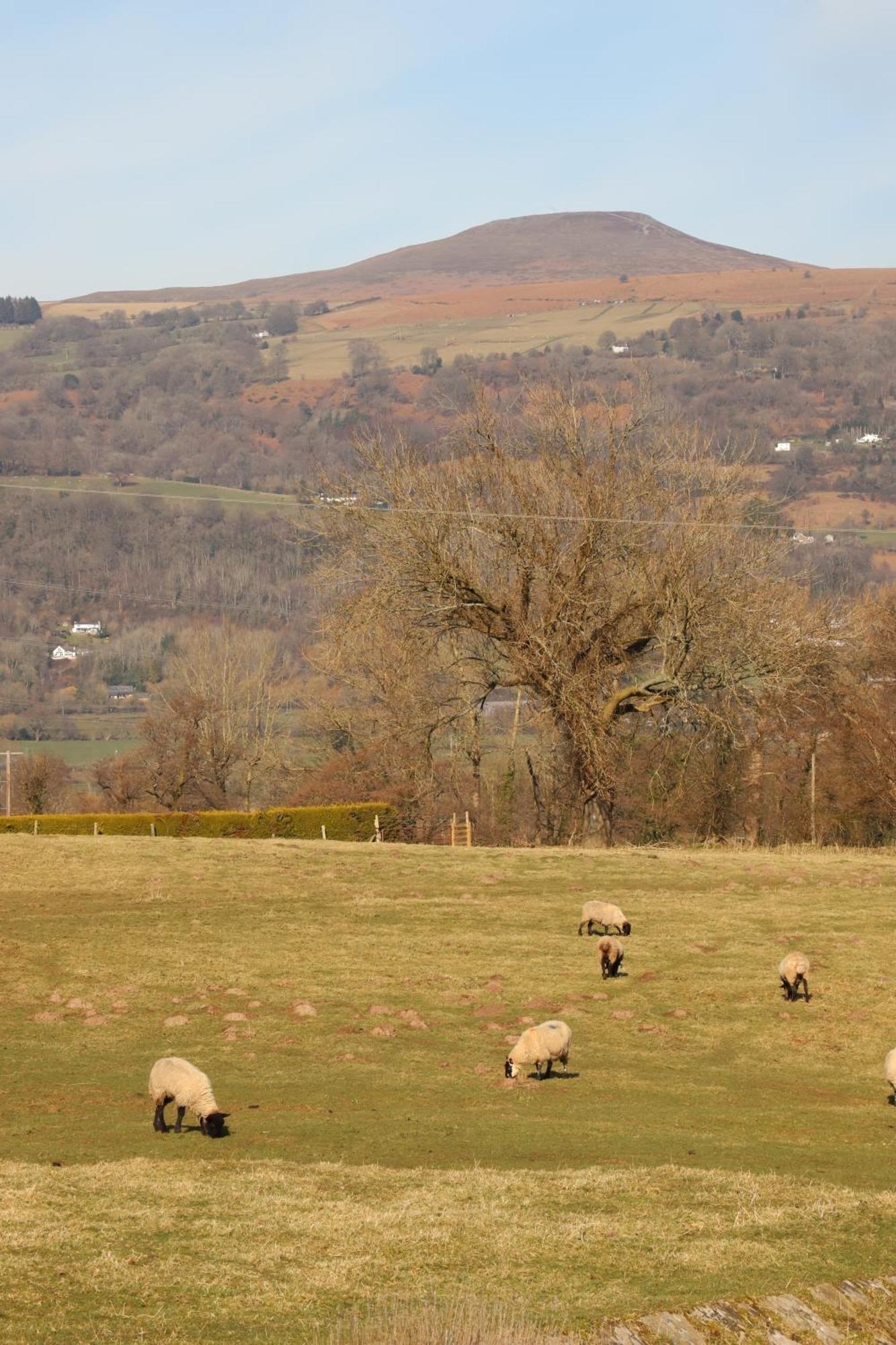 Cowshed In The Black Mountains Abergavenny Buitenkant foto